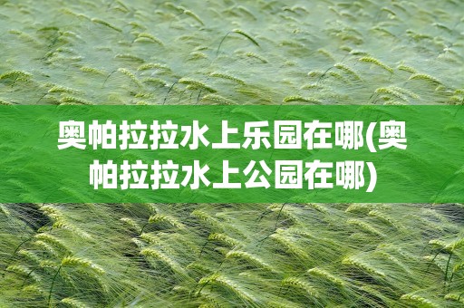 奥帕拉拉水上乐园在哪(奥帕拉拉水上公园在哪)
