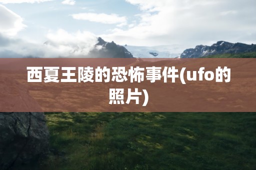 西夏王陵的恐怖事件(ufo的照片)