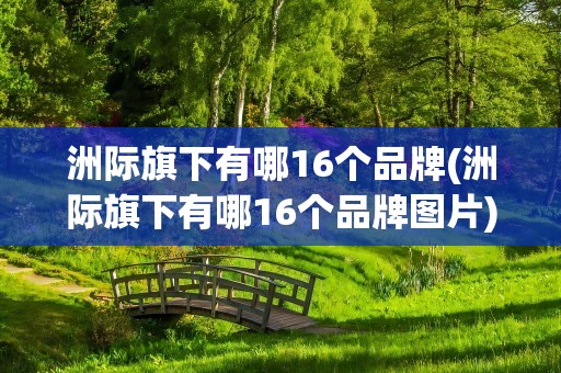 洲际旗下有哪16个品牌(洲际旗下有哪16个品牌图片)