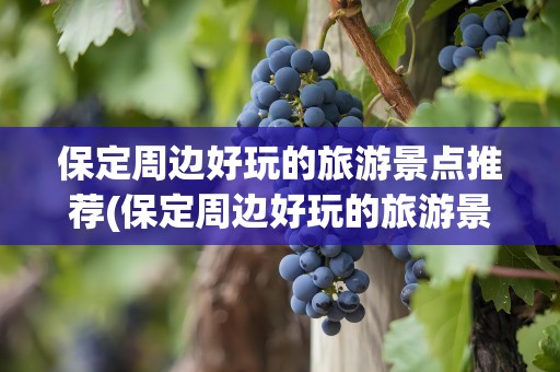 保定周边好玩的旅游景点推荐(保定周边好玩的旅游景点推荐夏天)