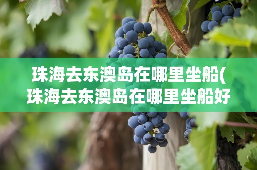 珠海去东澳岛在哪里坐船(珠海去东澳岛在哪里坐船好)