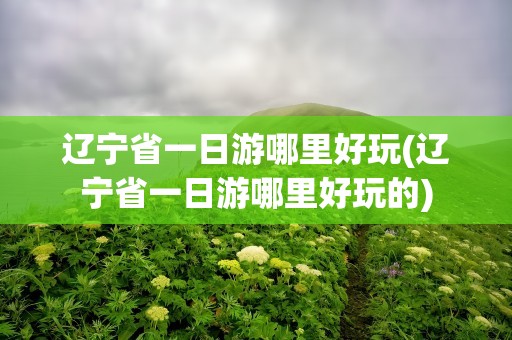 辽宁省一日游哪里好玩(辽宁省一日游哪里好玩的)