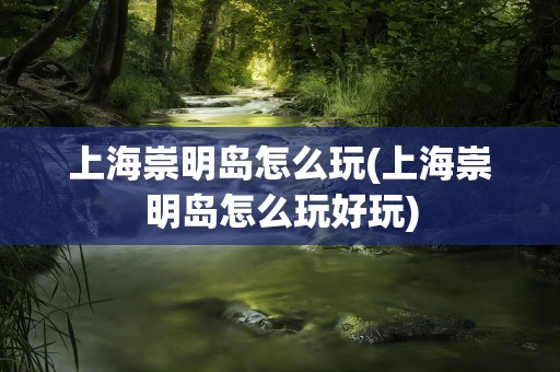 上海崇明岛怎么玩(上海崇明岛怎么玩好玩)
