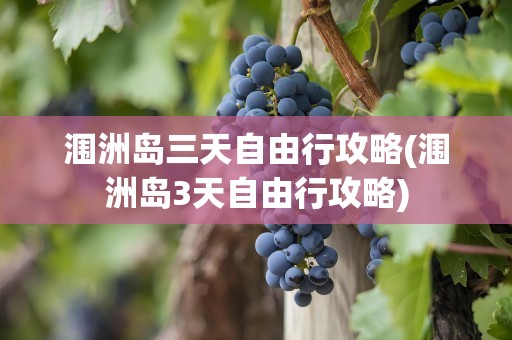 涠洲岛三天自由行攻略(涠洲岛3天自由行攻略)