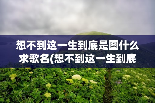 想不到这一生到底是图什么求歌名(想不到这一生到底是图什么歌词)