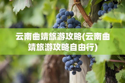云南曲靖旅游攻略(云南曲靖旅游攻略自由行)