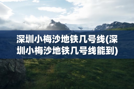 深圳小梅沙地铁几号线(深圳小梅沙地铁几号线能到)