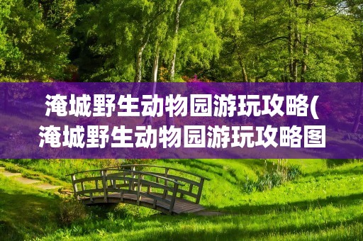 淹城野生动物园游玩攻略(淹城野生动物园游玩攻略图)