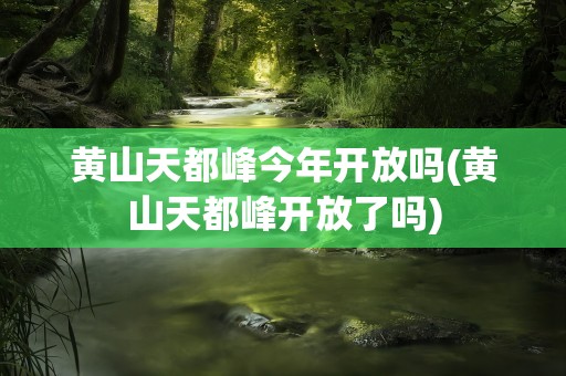 黄山天都峰今年开放吗(黄山天都峰开放了吗)