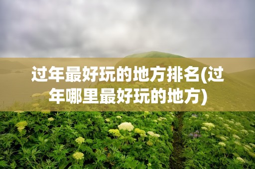 过年最好玩的地方排名(过年哪里最好玩的地方)