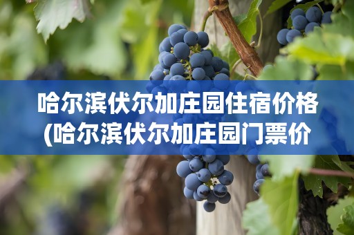 哈尔滨伏尔加庄园住宿价格(哈尔滨伏尔加庄园门票价格)