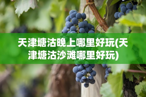 天津塘沽晚上哪里好玩(天津塘沽沙滩哪里好玩)