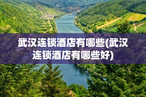 武汉连锁酒店有哪些(武汉连锁酒店有哪些好)
