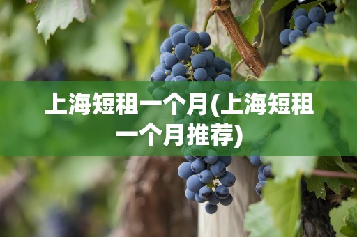 上海短租一个月(上海短租一个月推荐)