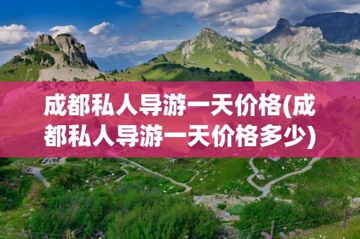 成都私人导游一天价格(成都私人导游一天价格多少)