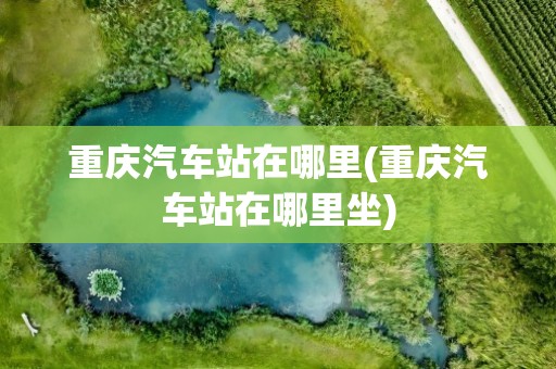 重庆汽车站在哪里(重庆汽车站在哪里坐)