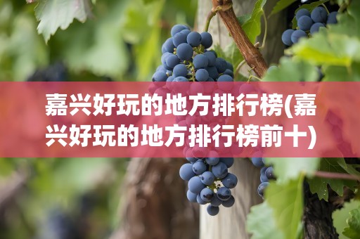 嘉兴好玩的地方排行榜(嘉兴好玩的地方排行榜前十)