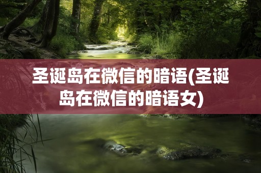 圣诞岛在微信的暗语(圣诞岛在微信的暗语女)