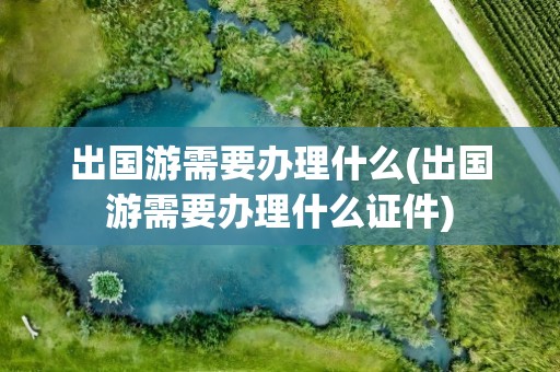 出国游需要办理什么(出国游需要办理什么证件)