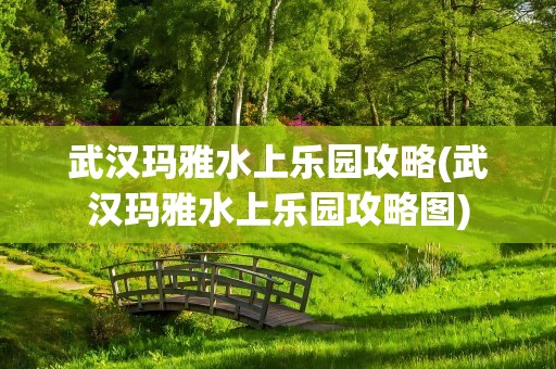 武汉玛雅水上乐园攻略(武汉玛雅水上乐园攻略图)