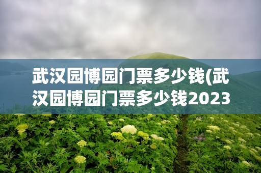 武汉园博园门票多少钱(武汉园博园门票多少钱2023)