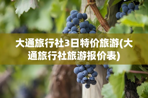 大通旅行社3日特价旅游(大通旅行社旅游报价表)