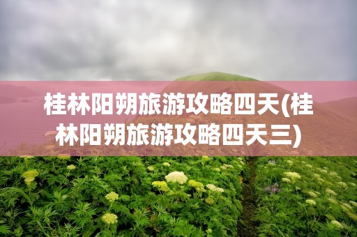 桂林阳朔旅游攻略四天(桂林阳朔旅游攻略四天三)