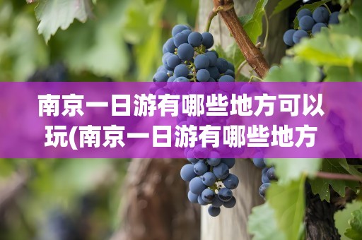 南京一日游有哪些地方可以玩(南京一日游有哪些地方可以玩的)