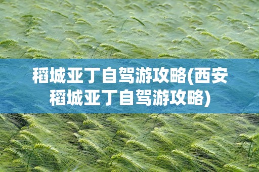 稻城亚丁自驾游攻略(西安稻城亚丁自驾游攻略)