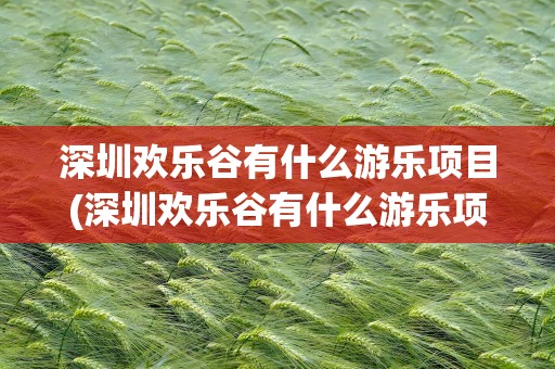 深圳欢乐谷有什么游乐项目(深圳欢乐谷有什么游乐项目图片)