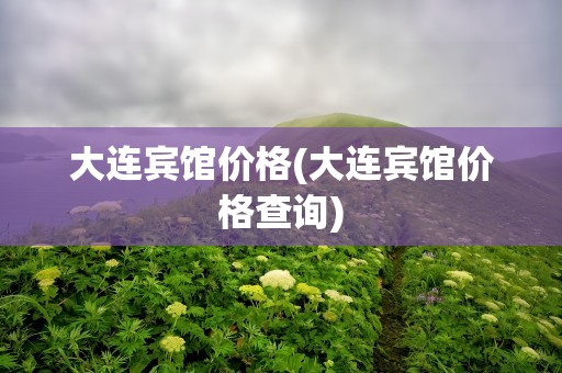 大连宾馆价格(大连宾馆价格查询)
