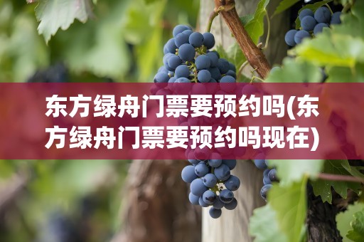 东方绿舟门票要预约吗(东方绿舟门票要预约吗现在)