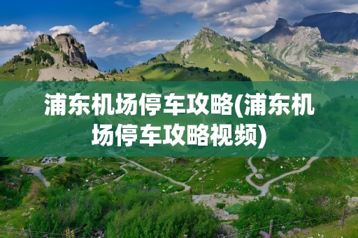 浦东机场停车攻略(浦东机场停车攻略视频)