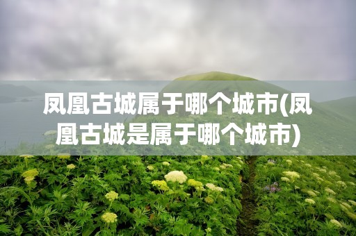 凤凰古城属于哪个城市(凤凰古城是属于哪个城市)