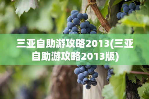 三亚自助游攻略2013(三亚自助游攻略2013版)