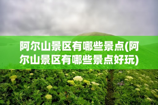 阿尔山景区有哪些景点(阿尔山景区有哪些景点好玩)