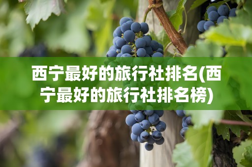 西宁最好的旅行社排名(西宁最好的旅行社排名榜)