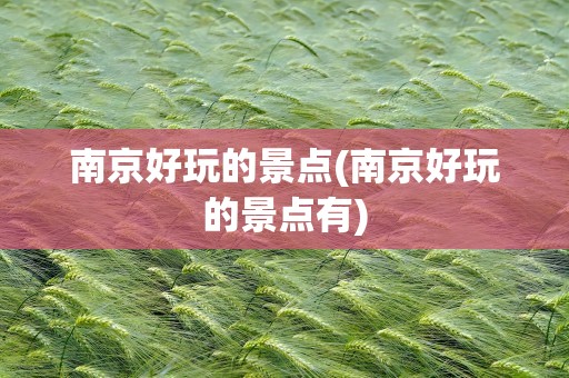 南京好玩的景点(南京好玩的景点有)