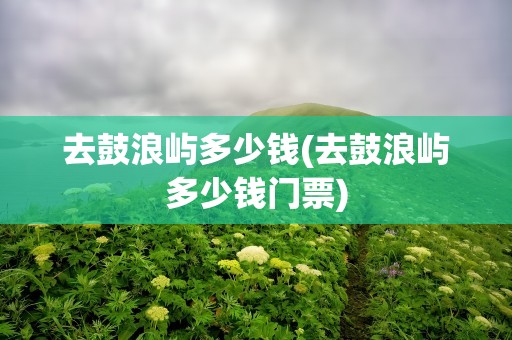 去鼓浪屿多少钱(去鼓浪屿多少钱门票)