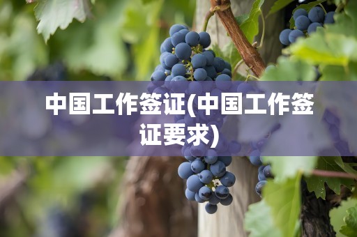 中国工作签证(中国工作签证要求)