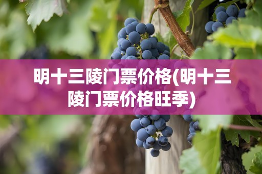 明十三陵门票价格(明十三陵门票价格旺季)