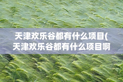 天津欢乐谷都有什么项目(天津欢乐谷都有什么项目啊)