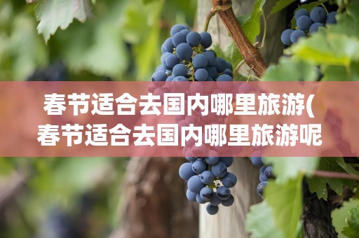 春节适合去国内哪里旅游(春节适合去国内哪里旅游呢)