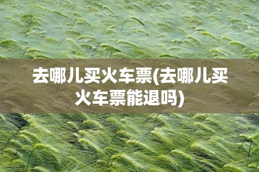 去哪儿买火车票(去哪儿买火车票能退吗)