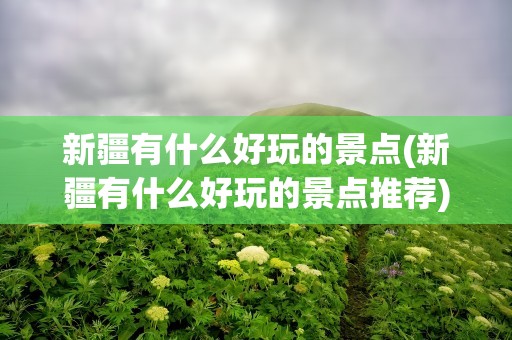新疆有什么好玩的景点(新疆有什么好玩的景点推荐)