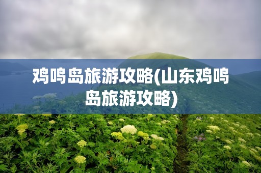 鸡鸣岛旅游攻略(山东鸡鸣岛旅游攻略)