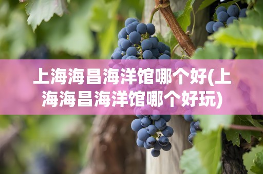 上海海昌海洋馆哪个好(上海海昌海洋馆哪个好玩)