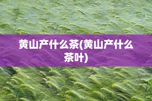 黄山产什么茶(黄山产什么茶叶)