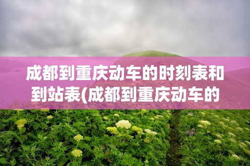 成都到重庆动车的时刻表和到站表(成都到重庆动车的时刻表和到站表图片)