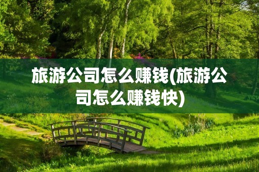 旅游公司怎么赚钱(旅游公司怎么赚钱快)